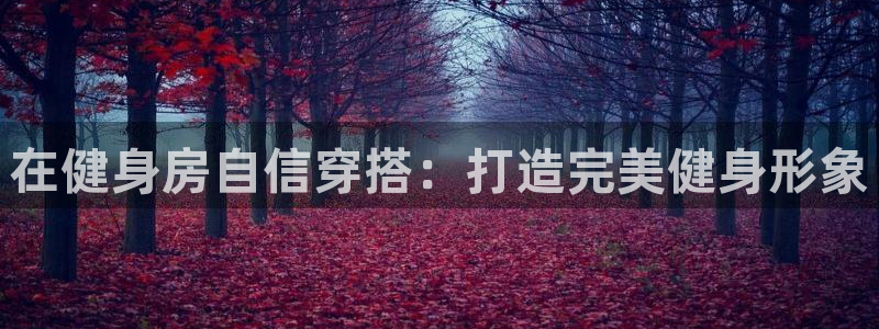 d88尊龙官网手机app